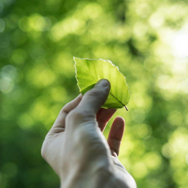 https://beer-please.com/wp-content/uploads/2026/07/tobias-weinhold-hXPomXrpUP0-unsplash-1-640x640.jpg